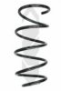 SPIDAN 86780 Coil Spring